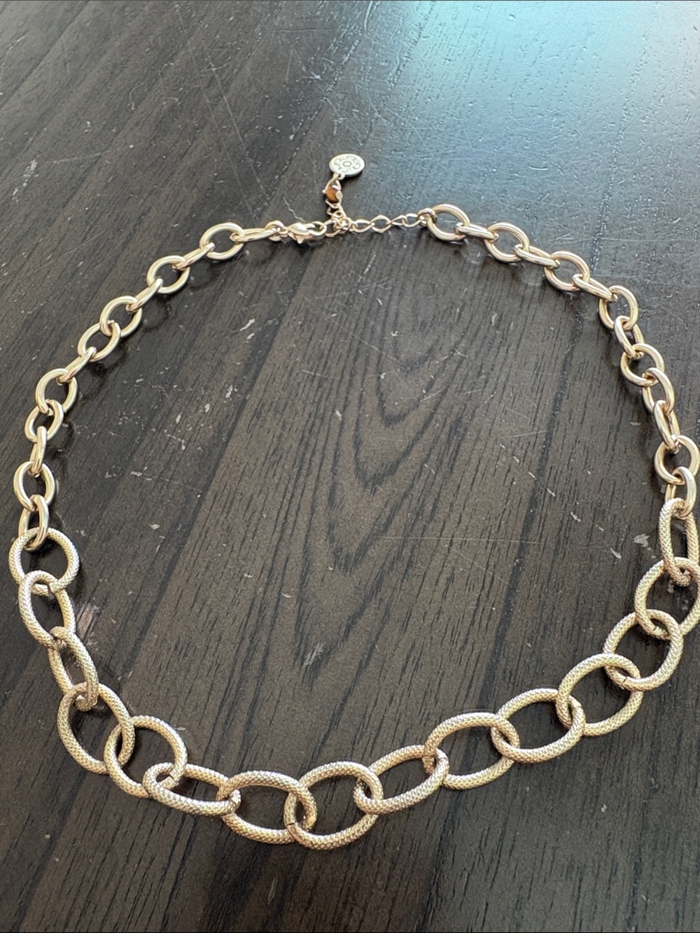 liz & co. Textured Gold Link Necklace